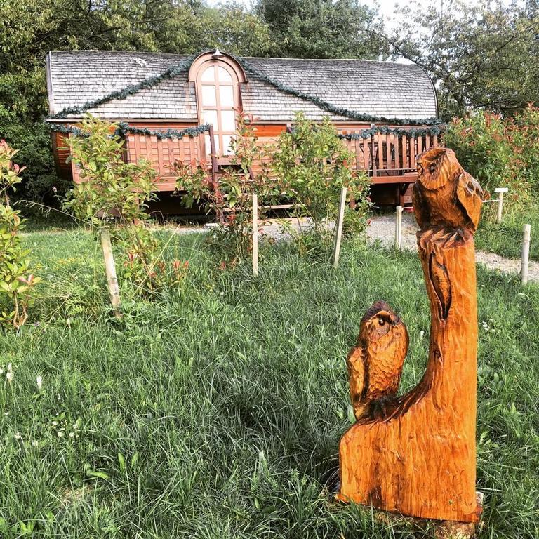 Le Chalet Du Chemin Et Sa Roulotte Berviller-en-Moselle Eksteriør billede