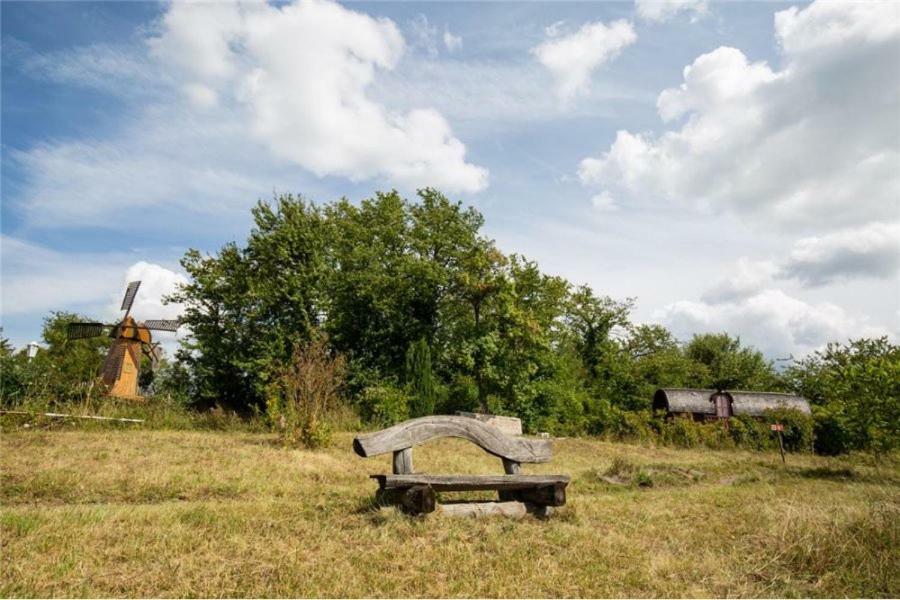 Le Chalet Du Chemin Et Sa Roulotte Berviller-en-Moselle Eksteriør billede