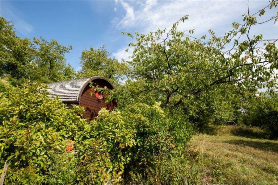 Le Chalet Du Chemin Et Sa Roulotte Berviller-en-Moselle Eksteriør billede