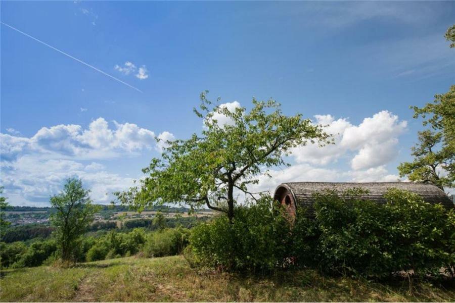 Le Chalet Du Chemin Et Sa Roulotte Berviller-en-Moselle Eksteriør billede