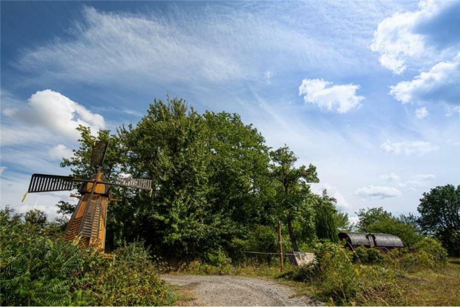 Le Chalet Du Chemin Et Sa Roulotte Berviller-en-Moselle Eksteriør billede